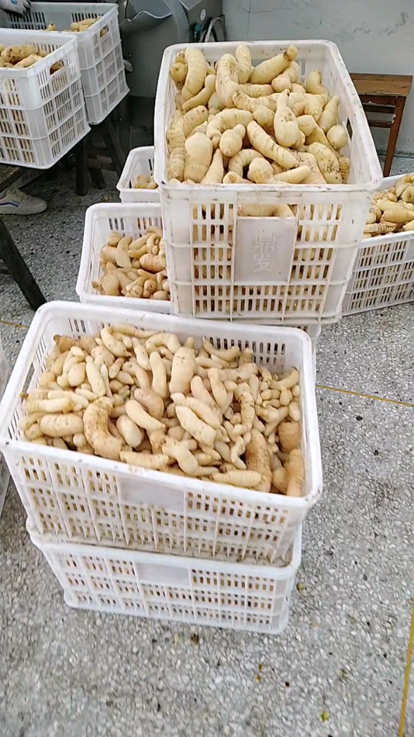 益陽瑪山產(chǎn)業(yè)機(jī)械有限公司，湖南益陽螺旋風(fēng)管廠家，熱風(fēng)食品烤房